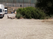 İcarəyə verilir 1 otaqlı 2500 m2 obyekt Sumqayıt