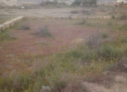 Satılır 6 sot torpaq Ələt