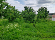 Satılır 5 otaqlı 225 m2 həyət evi Tovuz