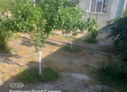 Satılır 4 otaqlı 120 m2 həyət evi Binə