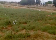 Satılır 300 sot torpaq Əmircan