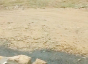 Satılır 150 sot torpaq Masazır