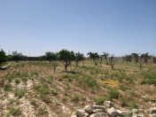 Satılır 60 sot torpaq Buzovna