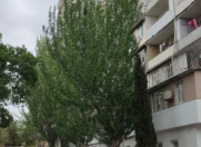 İcarəyə verilir 2 otaqlı 54 m2 yeni tikili Koala parkı