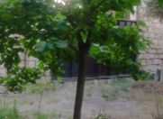 Satılır 4 sot torpaq Binəqədi