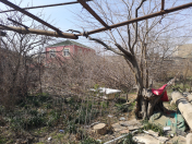 Satılır 4 sot torpaq Hövsan