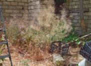 Satılır 3 otaqlı 50 m2 həyət evi Montin