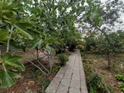 Satılır 3 otaqlı 100 m2 həyət evi Quba