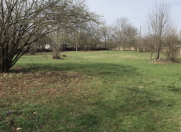 Satılır 63 sot torpaq Qəbələ