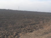 Satılır 23677 sot torpaq Salyan