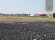 Satılır 700 sot torpaq Zabrat 1