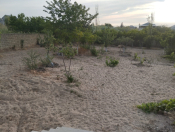 Satılır 4 otaqlı 150 m2 bağ evi Novxanı