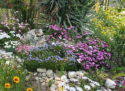 İcarəyə verilir 6 otaqlı 100 m2 bağ evi Zağulba