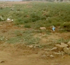 Satılır 200 sot torpaq Masazır