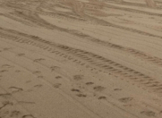 Satılır 7 sot torpaq Pirşağı