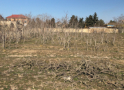 Satılır 30 sot torpaq Bilgəh