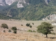 Satılır 100 sot torpaq Quba