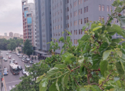 Satılır 3 otaqlı 67 m2 köhnə tikili Nizami m.