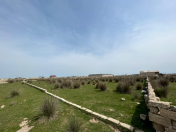 Satılır 10 sot torpaq Buzovna