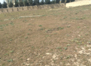Satılır 40 sot torpaq Novxanı