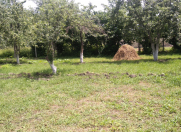 Satılır 6 sot torpaq Qusar