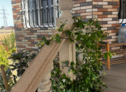 Satılır 3 otaqlı 100 m2 bağ evi Şüvəlan