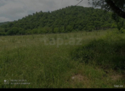 Satılır 18 sot torpaq Qəbələ