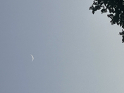 Satılır 99 sot torpaq Qara Qarayev m.