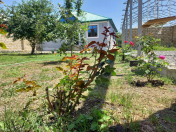 Satılır 5 otaqlı 121 m2 həyət evi Qəbələ