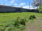 Satılır 5 otaqlı 1000 m2 həyət evi Oğuz