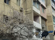 Satılır 3 otaqlı 75 m2 köhnə tikili Elmlər Akademiyası m.