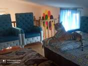 İcarəyə verilir 5 otaqlı 110 m2 həyət evi Qax