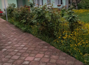 İcarəyə verilir 2 otaqlı 100 m2 bağ evi Quba