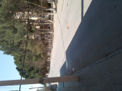 İcarəyə verilir 1 otaqlı 60 m2 obyekt Sumqayıt