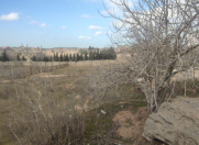 Satılır 25 sot torpaq Nardaran