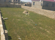 Satılır 2.5 sot torpaq Binə