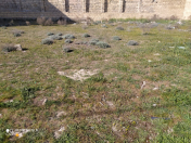 Satılır 26 sot torpaq Masazır