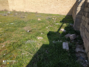 Satılır 8 sot torpaq Badamdar