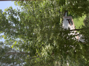 İcarəyə verilir 2 otaqlı 45 m2 köhnə tikili Gənclik m.