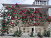 Satılır 5 otaqlı 220 m2 həyət evi Şəmkir