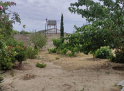 Satılır 24 sot torpaq Albalı