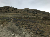 Satılır 12 sot torpaq Xızı