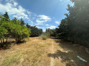 Satılır 20 sot torpaq Bilgəh