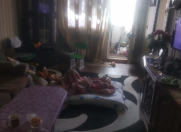 Satılır 2 otaqlı 55 m2 köhnə tikili 3 mkr