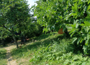 Satılır 3 otaqlı 40 m2 bağ evi Şabran