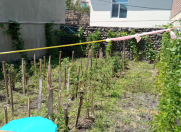 Satılır 4 otaqlı 200 m2 həyət evi Zaqatala