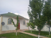 İcarəyə verilir 3 otaqlı 130 m2 həyət evi Qəbələ