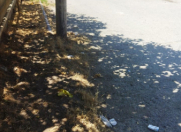 Satılır 15 sot torpaq Mehdiabad