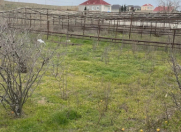 Satılır 5 sot torpaq Dübəndi bağları