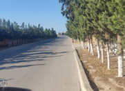 Satılır 4 sot torpaq Qala